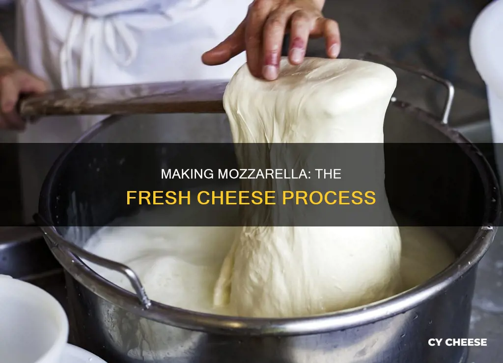 how is fresh mozzarella cheese made