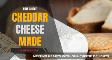 Goat Cheddar Cheese: A Step-by-Step Guide to Making It