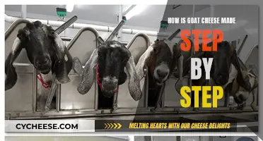 Goat Cheese Making: A Step-by-Step Guide
