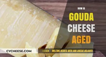 Mastering Gouda: The Art and Science of Aging Cheese
