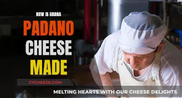 The Art of Making Grana Padano Cheese