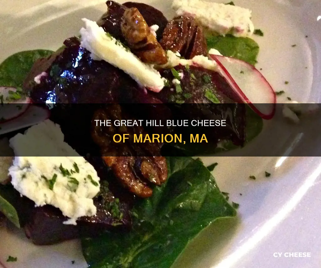 how is great hill blue cheese marion ma