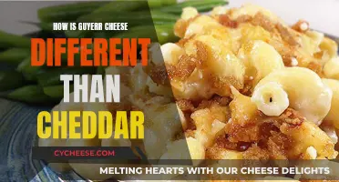 Guyere Cheese: A Unique Twist on Cheddar