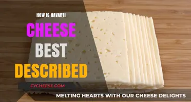 The Creamy, Buttery Taste of Havarti Cheese