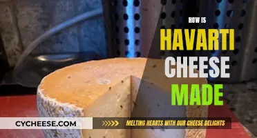 Havarti Cheese: A Step-by-Step Guide to Its Making