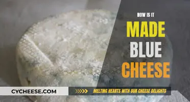 The Magic Behind Blue Cheese: A Step-by-Step Guide