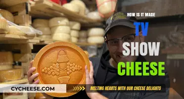 Unveiling the Secrets: How TV's Favorite Cheese is Crafted