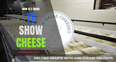 The Making of Cheese: A TV Show Documentary