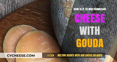 Parmesan and Gouda: A Match Made in Heaven?