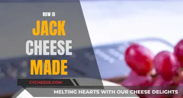 The Art of Making Jack Cheese: A Step-by-Step Guide