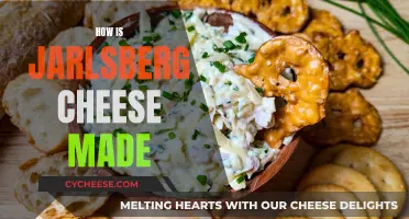 The Making of Jarlsberg Cheese: A Step-by-Step Guide