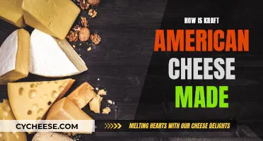 Kraft American Cheese: Processed Cheese's Inner Workings