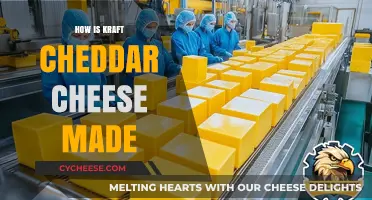 Unveiling Kraft Cheddar's Secret: A Journey from Milk to Cheese