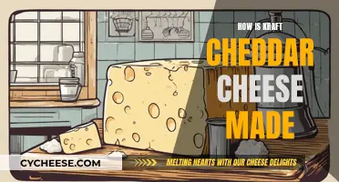Kraft Cheddar Cheese: The Making Process Explained