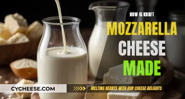 The Making of Kraft Mozzarella: A Step-by-Step Guide