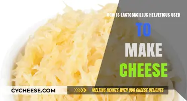 Lactobacillus Helveticus: The Cheese-Making Superbug