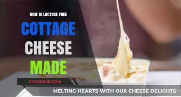 Making Lactose-Free Cottage Cheese: Process, Ingredients, and Benefits Explained