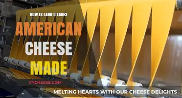 Crafting Land O'Lakes' Iconic American Cheese: A Journey from Farm to Table