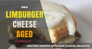 The Art of Aging Limburger Cheese: A Smelly Journey