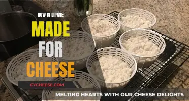 The Art of Lipase in Cheese Making