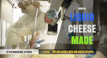 Unveiling the Magic: How Liquid Cheese is Crafted