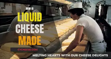 Liquid Cheese: How is it Made?