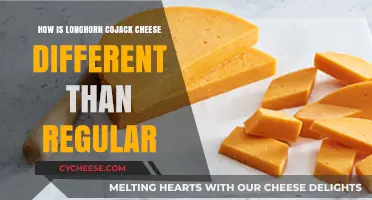 Longhorn CoJack Cheese vs. Regular: Unique Flavors, Textures, and Uses Explained