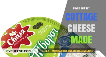 Making Low-Fat Cottage Cheese: A Simple, Healthy Production Process