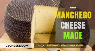 The Art of Manchego: A Cheesy Journey