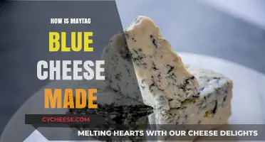 Malty Magic: Unveiling Maytag Blue's Cheesy Craft