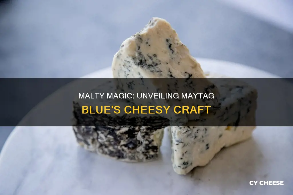 how is maytag blue cheese made