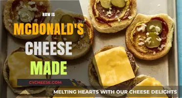 Unveiling McDonald's Secret: The Art of Cheesy Delight