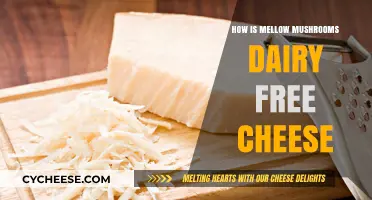 Mellow Mushroom's Dairy-Free Cheese: A Tasty Alternative