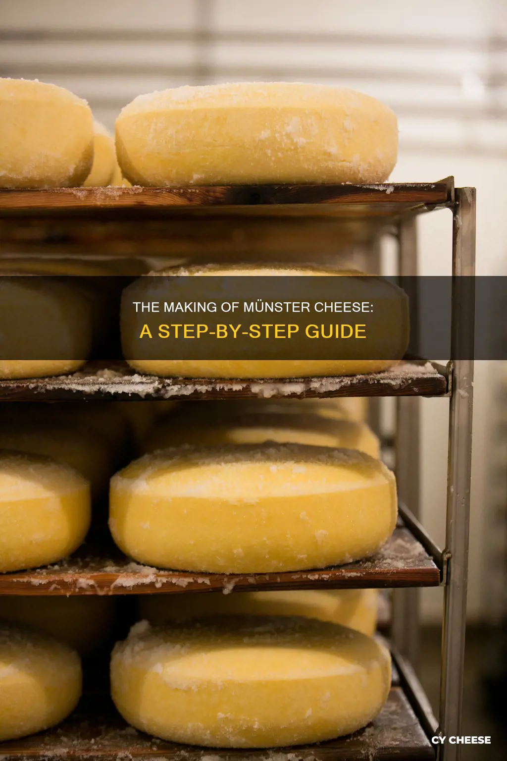 how is meunster cheese made