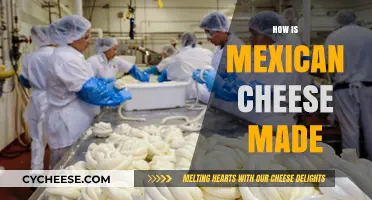 Unveiling the Secrets: A Journey into Mexican Cheese Craftsmanship