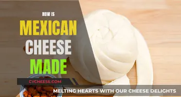 The Art of Mexican Cheese: A Traditional Guide