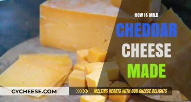 Mild Cheddar's Magic: Unveiling the Art of Cheese-Making