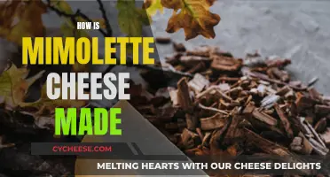 Mimolette Cheese: The Art of Making This Delicious Treat