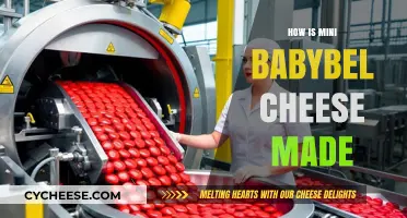 Unveiling the Magic: Mini Babybel's Cheesy Journey