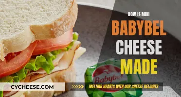 The Making of Mini Babybel Cheese