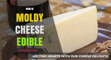 Moldy Cheese: Understanding the Science Behind Its Edibility and Safety