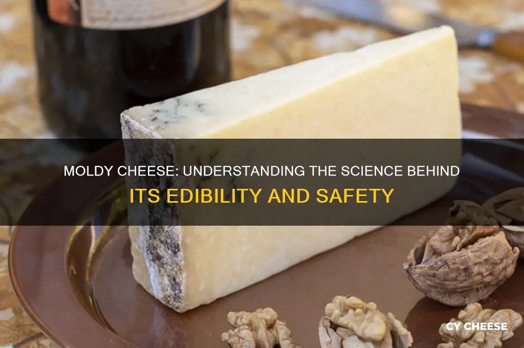 how is moldy cheese edible