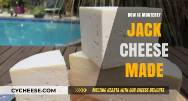 Unveiling the Art of Monterey Jack: A Cheesy Journey