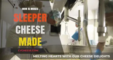 Unveiling the Art of Moses Sleeper Cheese: A Delicious Journey