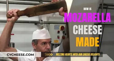 Mozzarella Cheese: A Step-by-Step Guide to Making It