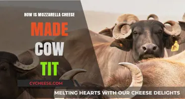 Unveiling Mozzarella's Magic: Cow's Milk to Cheesy Delight