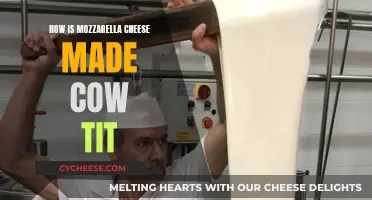 Mozzarella Cheese: From Cow's Udder to Table