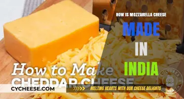 Unveiling Mozzarella's Magic: India's Cheesy Journey