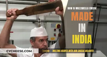 Mozzarella Cheese: India's Homemade Soft, White Wonder