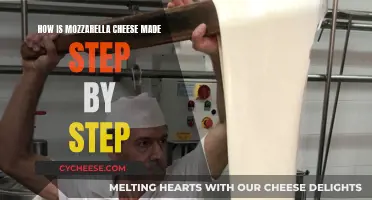 Mozzarella Cheese: Step-by-Step Guide to Making It